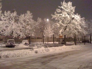 neve-fidenza